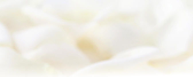 istock_000005446628xlarge-000.jpg